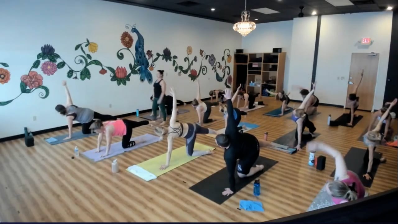 On-Demand Yoga Classes | Stream Anytime | 95 Yoga House