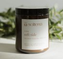 Soft Tide Soy Candle - Medium