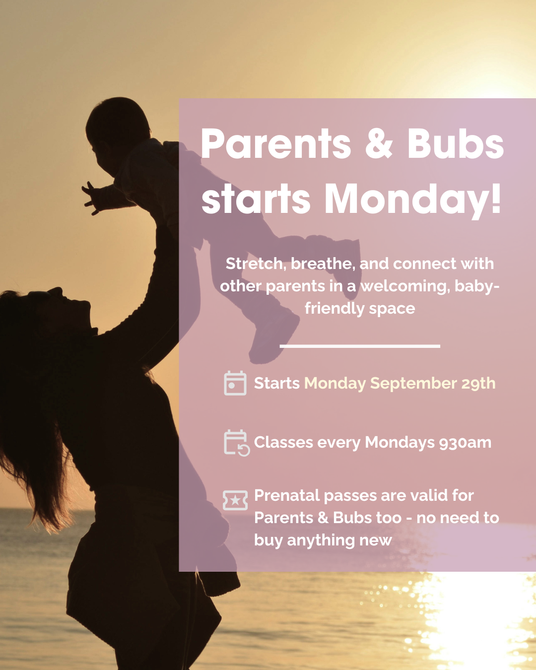 Parents and Bubs classes start Monday!