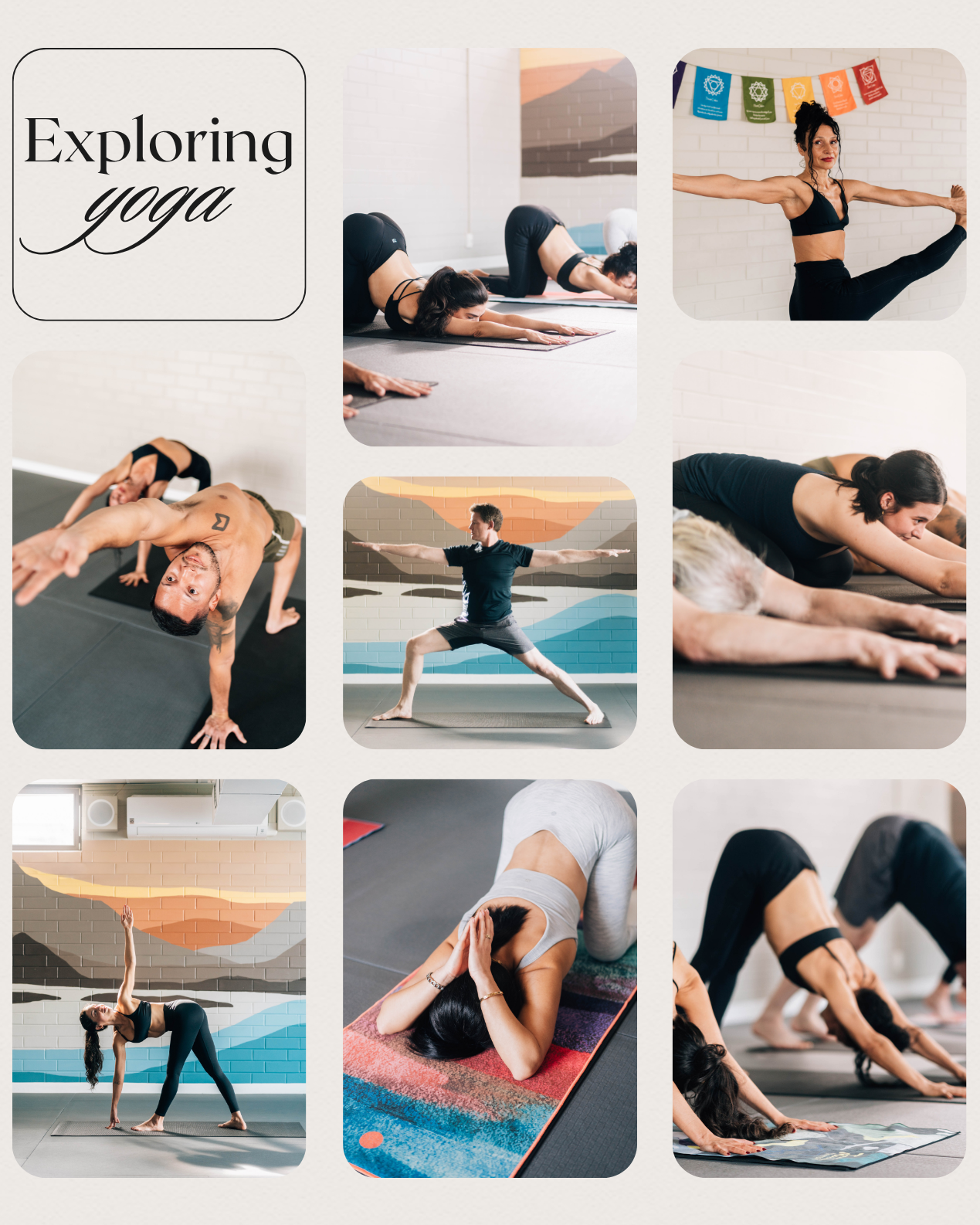 What Style of Yoga Should I Do? (Yin vs Vinyasa vs Hot Yoga Explained)