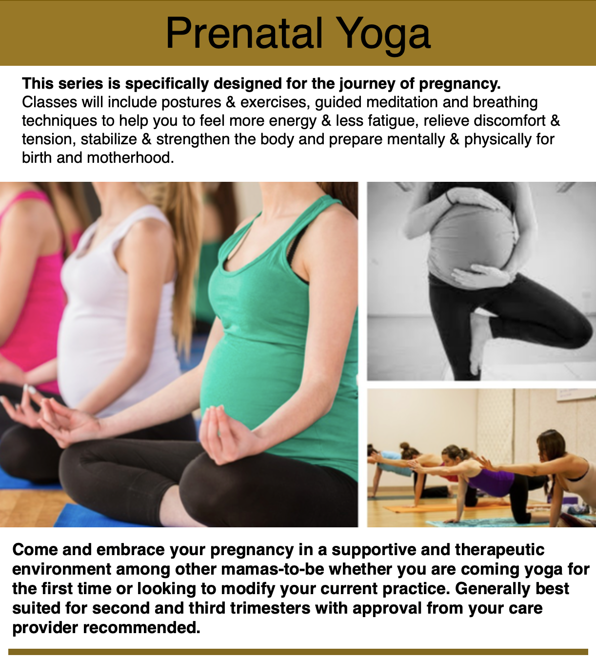 Prenatal Yoga Series