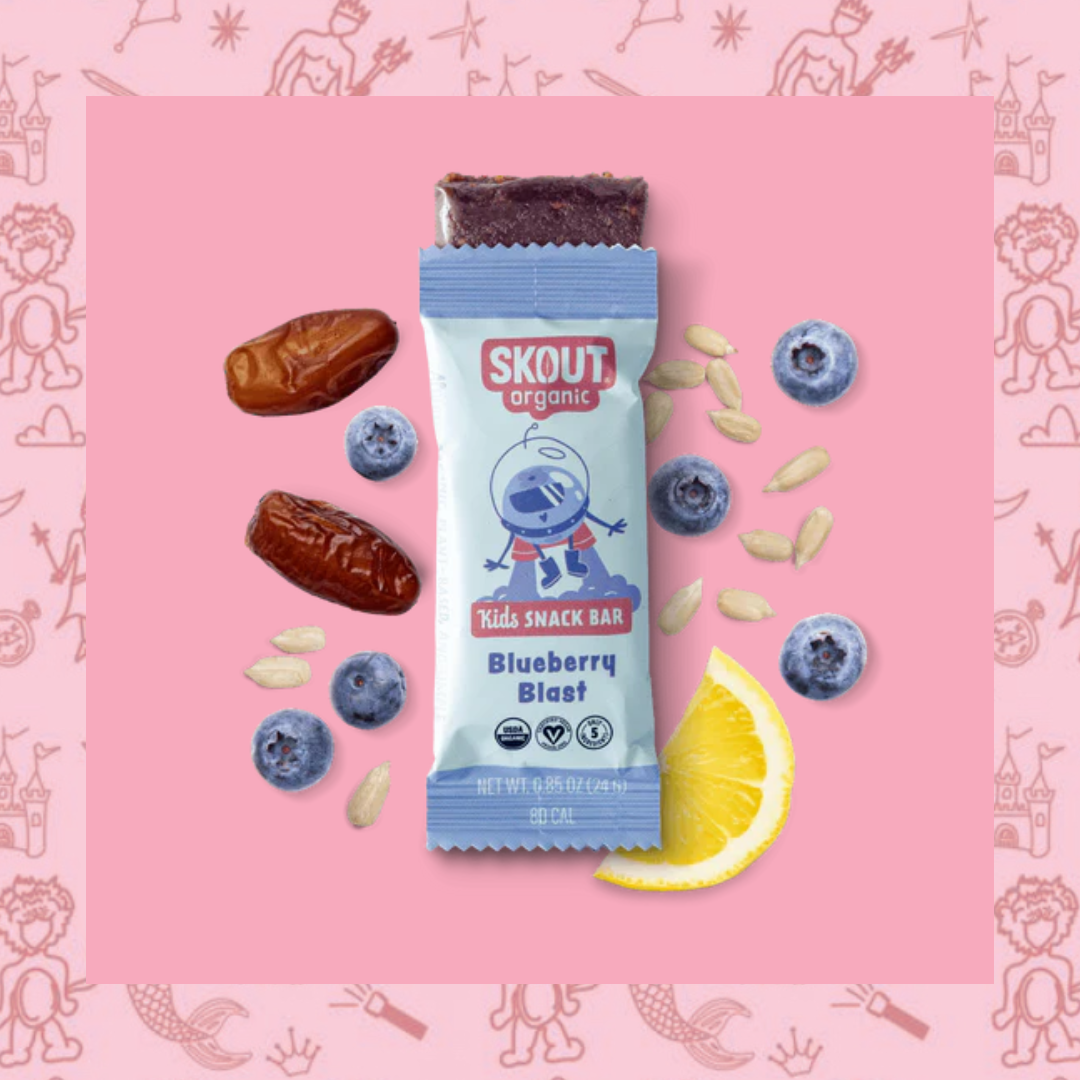Skout Organic Blueberry Blast Kids Bar