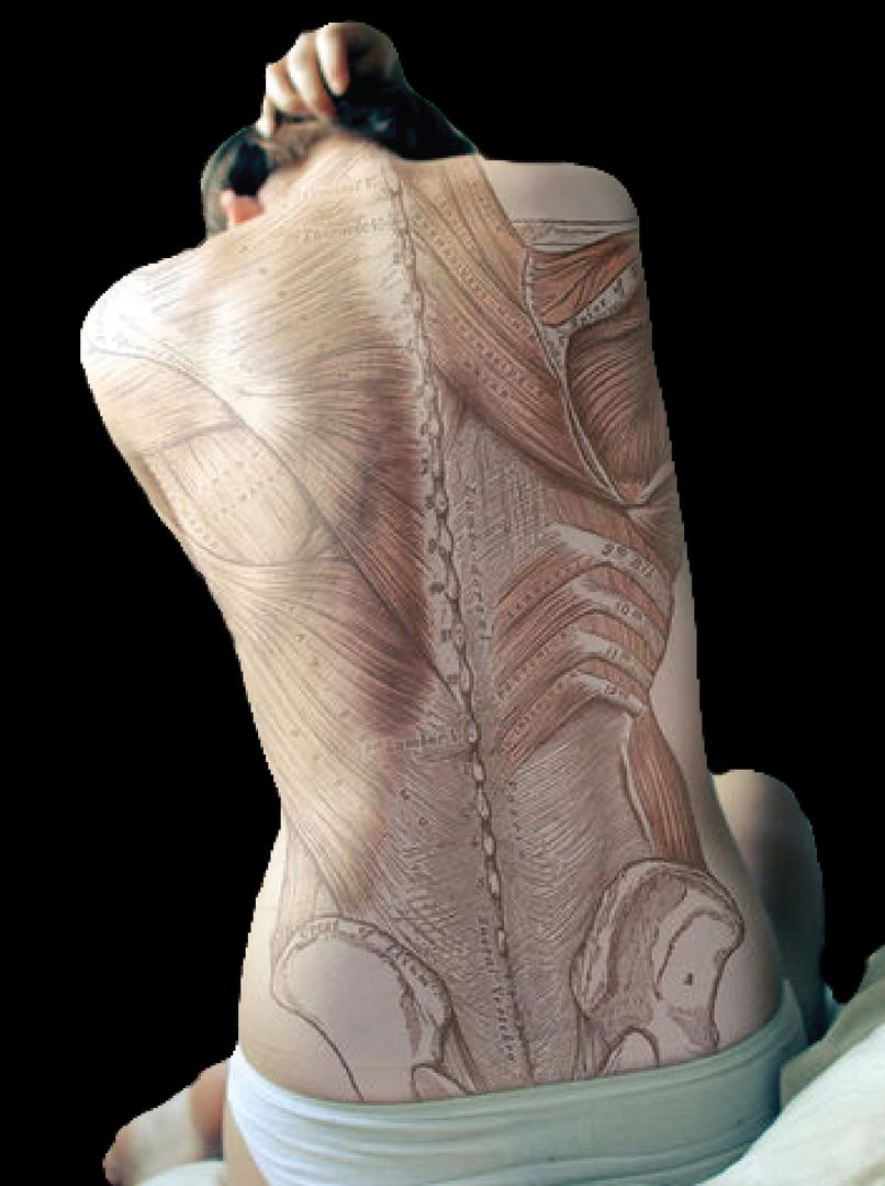 Sensing Anatomy: A pain management workshop