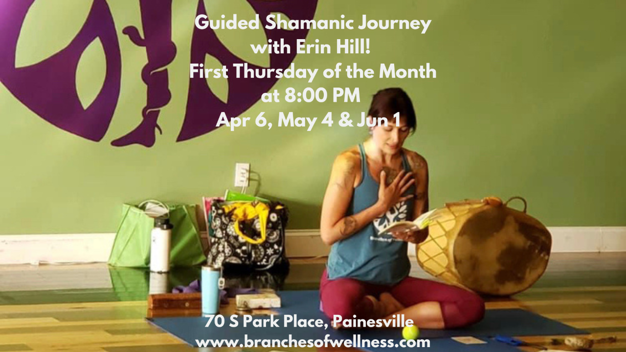 Monthly Guided Shamanic Journey