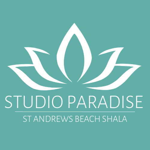 3rd ANNIVERSARY 10 PACK - Studio Paradise