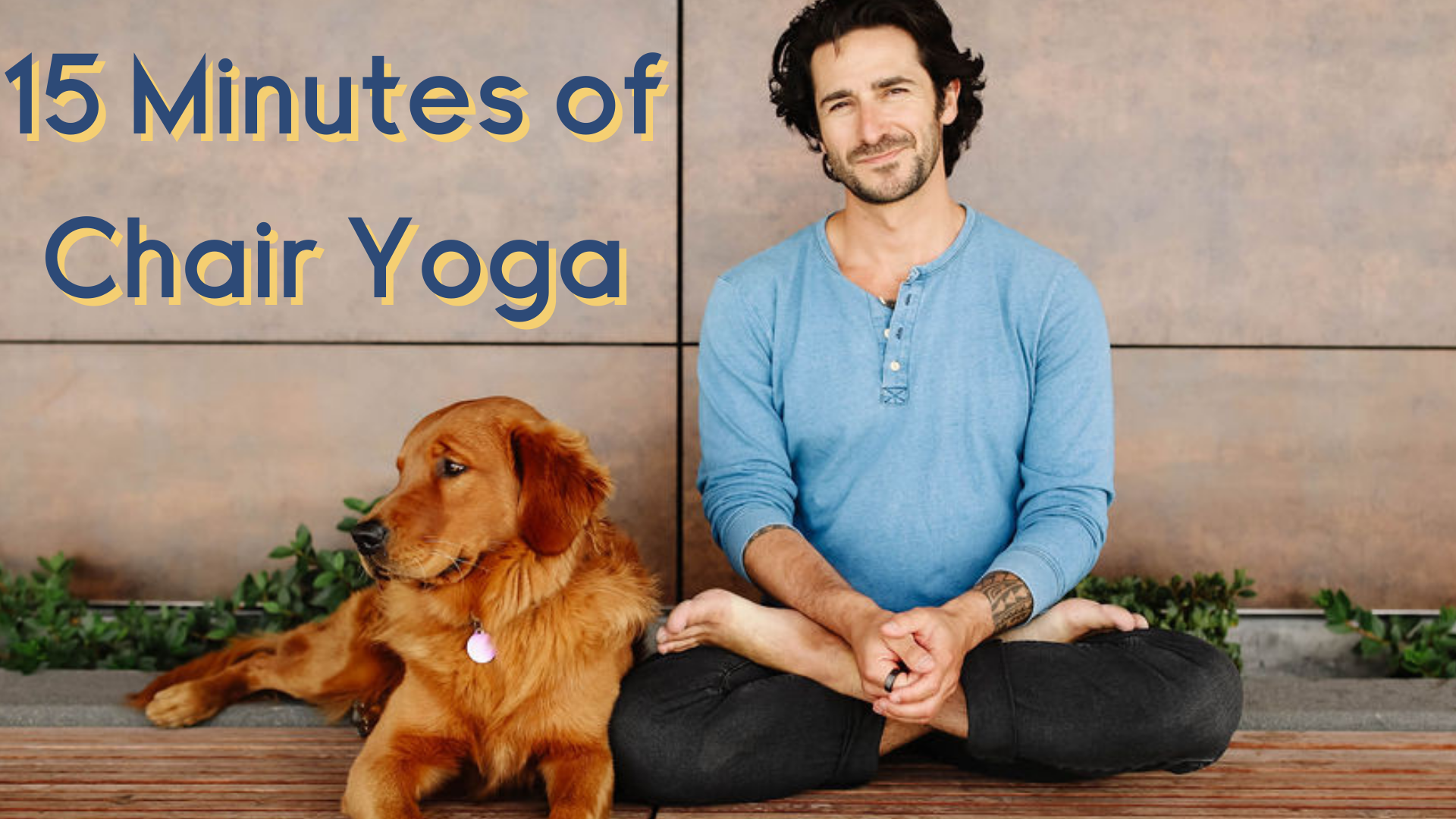 15 Minutes of Chair Yoga