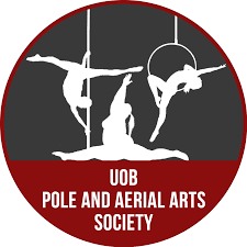 Aerial Hoop Mixed Ability Lv 1/2