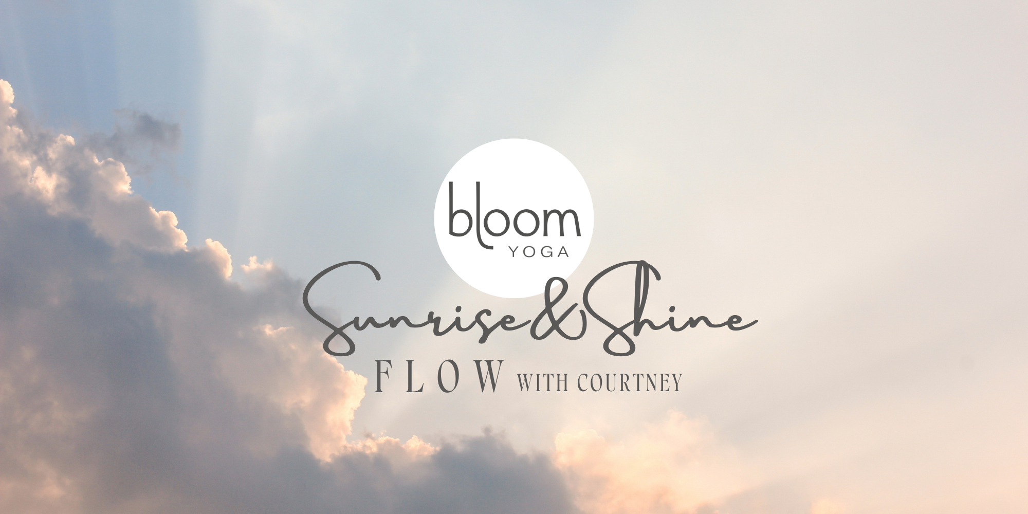Shine Bloom in Cloud Shine Bloom in Cloud